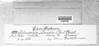 Image Associated With the Occurence